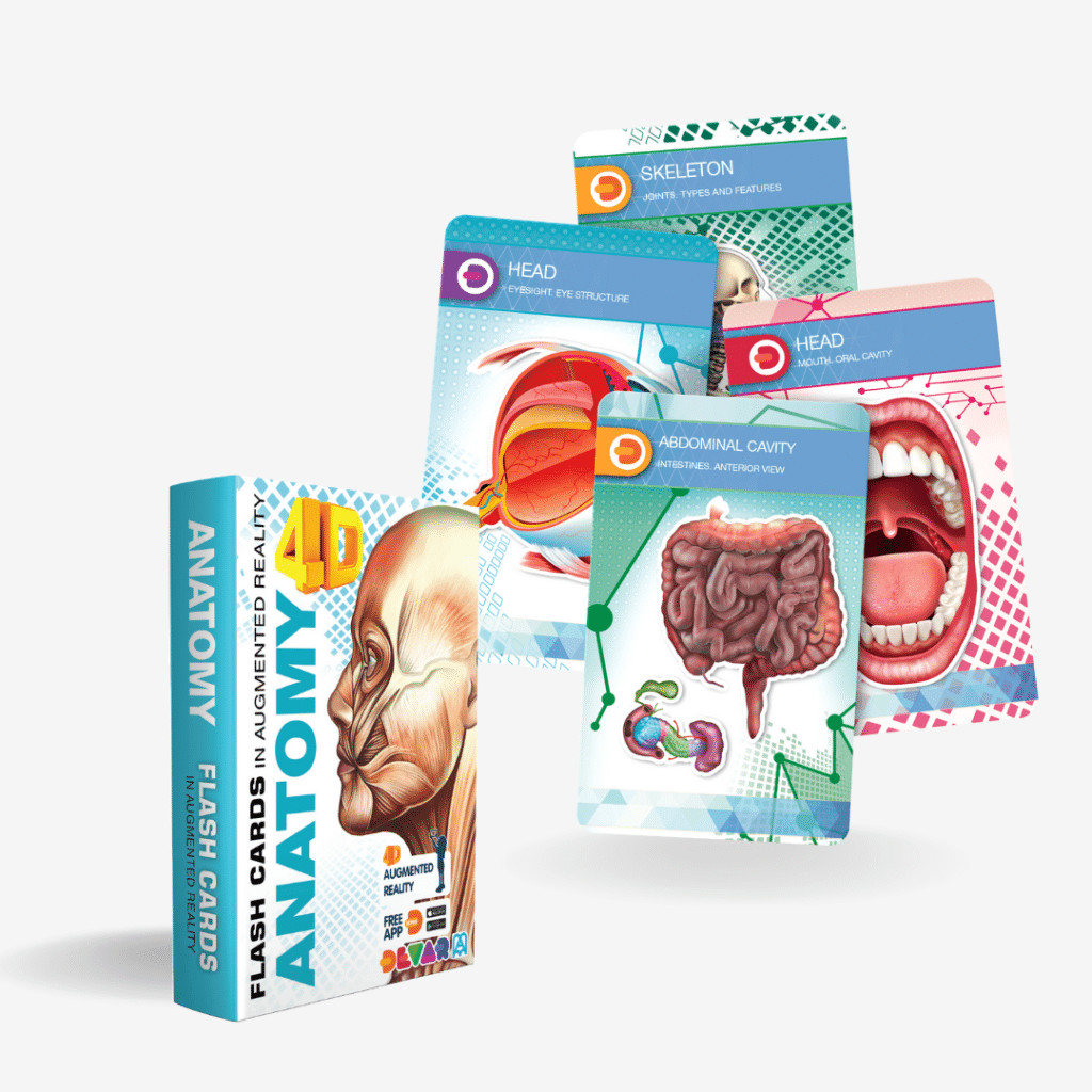 Flash Card - 4D Encyclopedia Of Anatomy