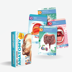 Flash Card - 4D Encyclopedia Of Anatomy