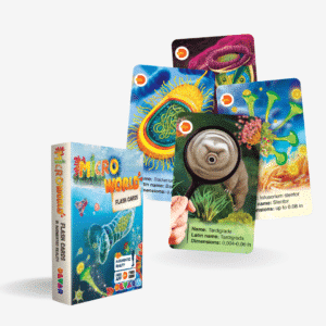 Flash Card - 4D Encyclopedia Of Microworld