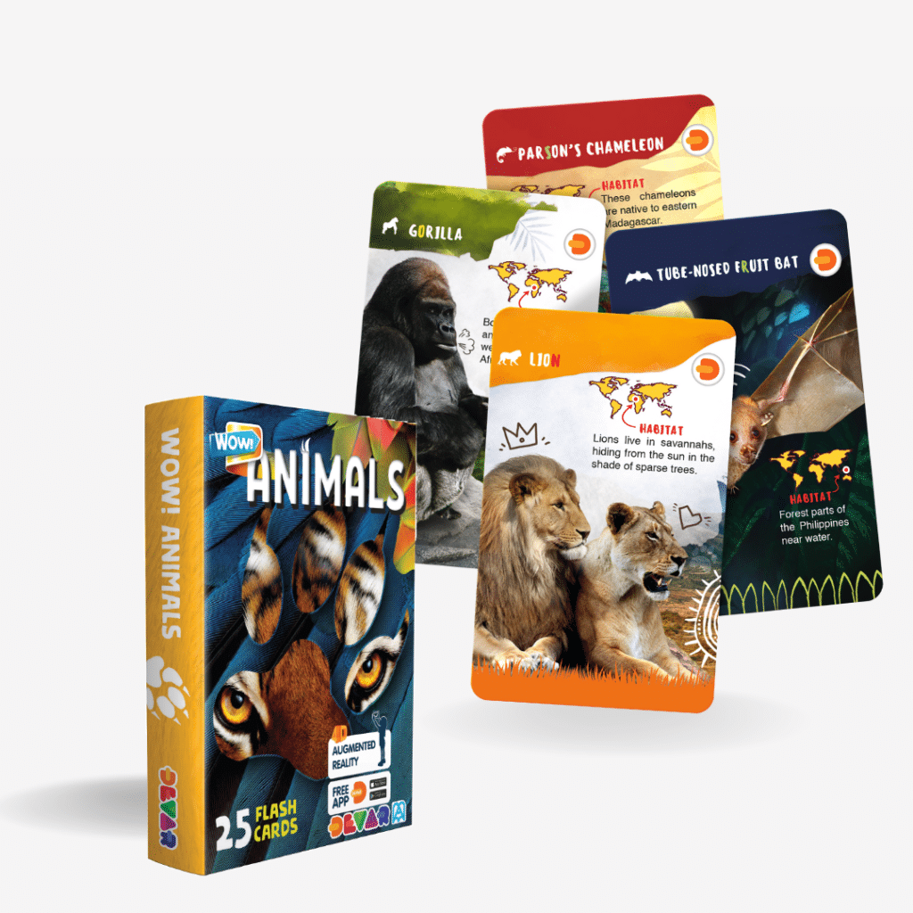 Flash Card - Wow Animals