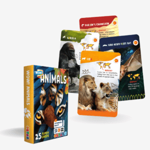 Flash Card - Wow Animals
