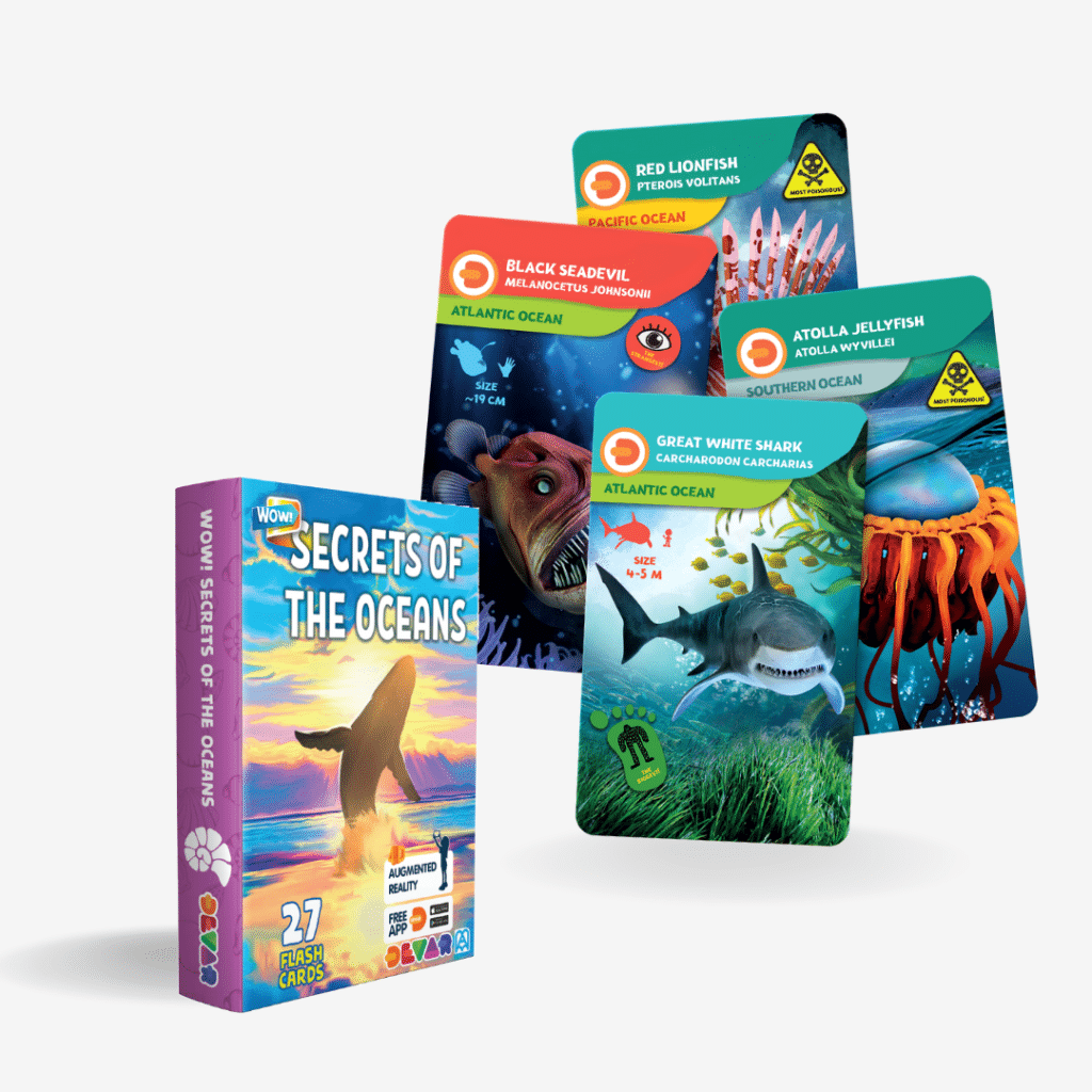 Flash Card - Wow Oceans