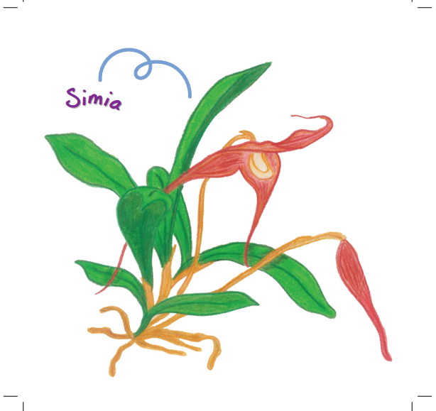 Kombo Siri Hikayat Malam - Image 19